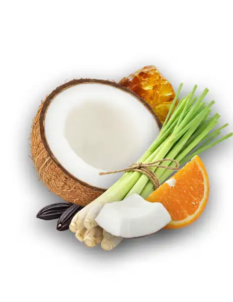 Coconut Lemongrass Clean Fragrance - Fragrances